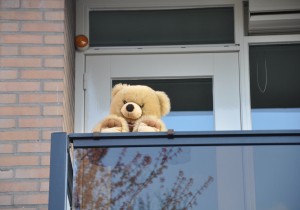Berenwandeling.JPG