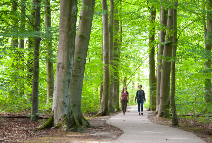 Wandelaars in Waterloopbos - © Luuk Gijselhart-min