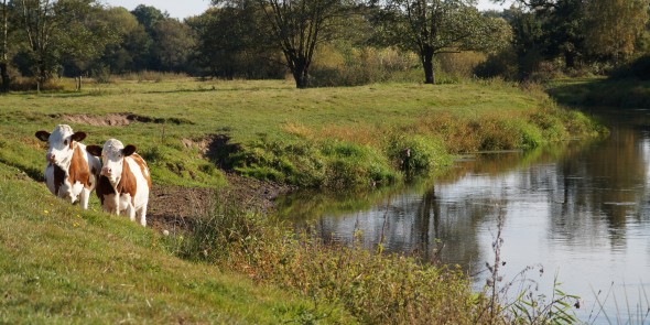 Brabants_Vennenpad_etappe_03.jpg