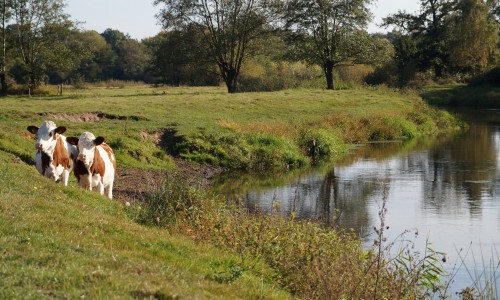 Brabants_Vennenpad_etappe_03.jpg