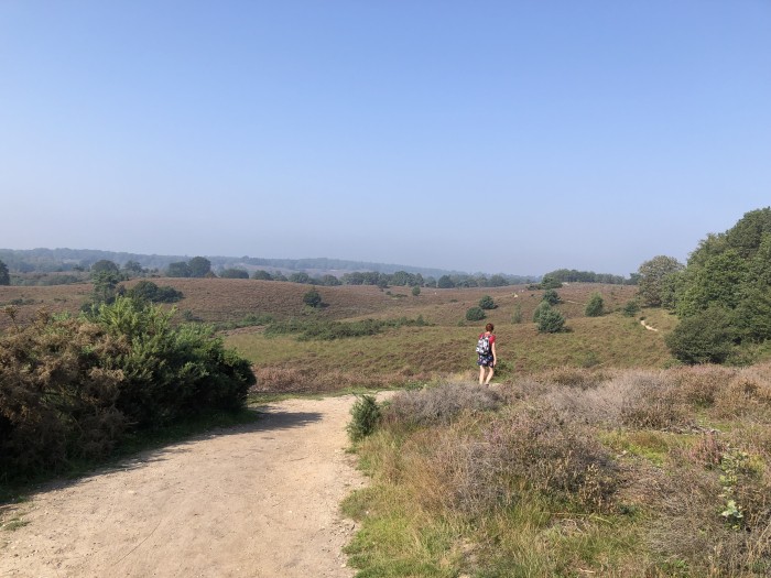 Herikhuizerveld