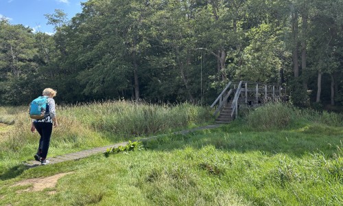 Bruggetje Schipborg Diep 5610.jpeg