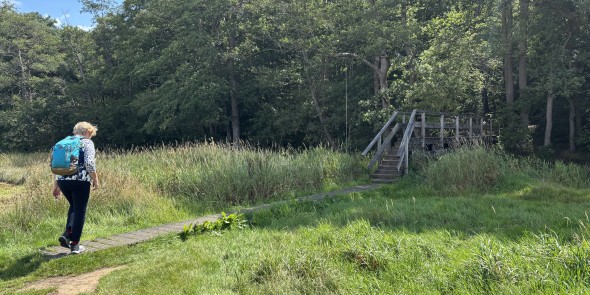 Bruggetje Schipborg Diep 5610.jpeg