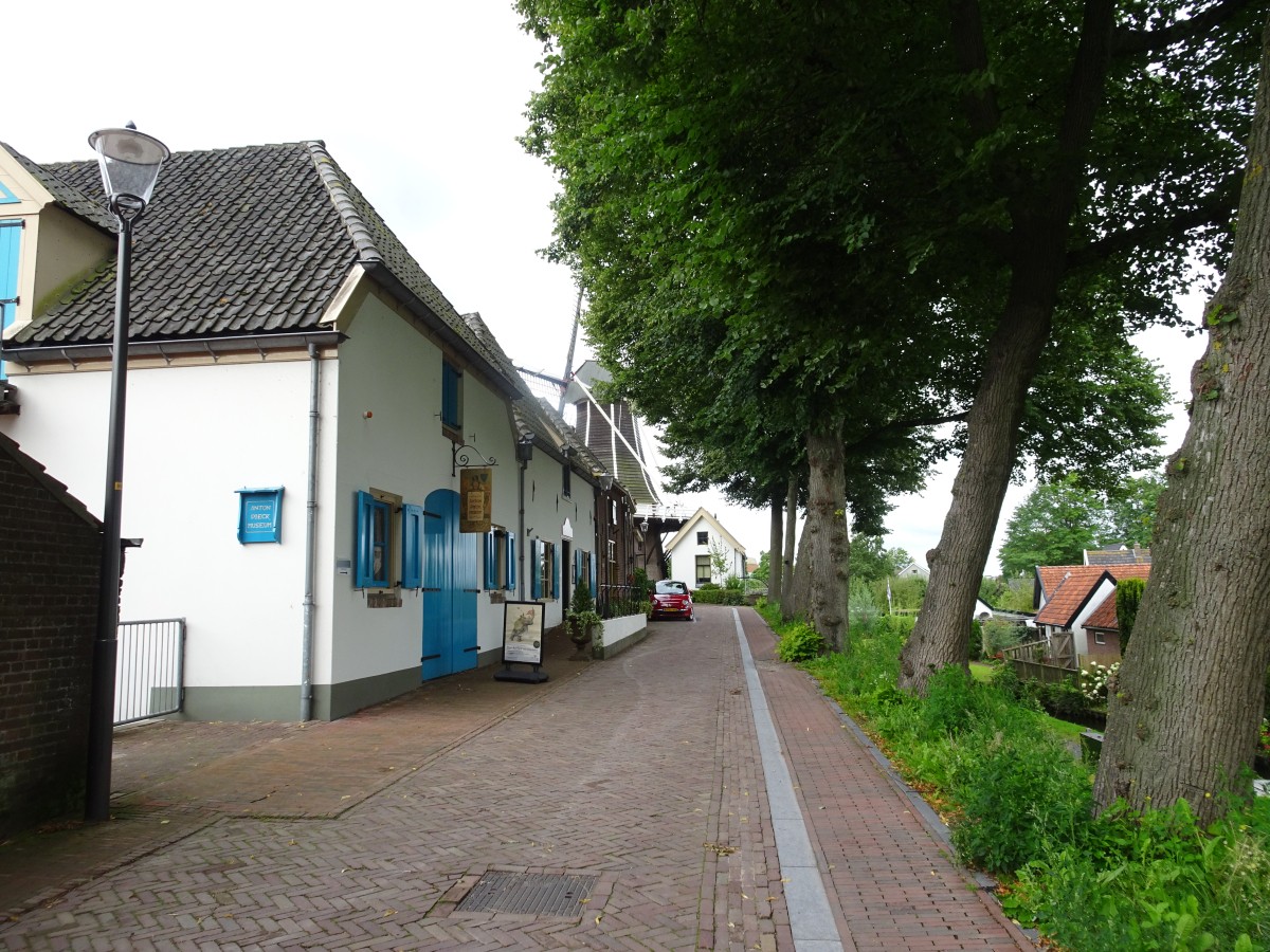 Wandelen in en rond Hanzestad Hattem
