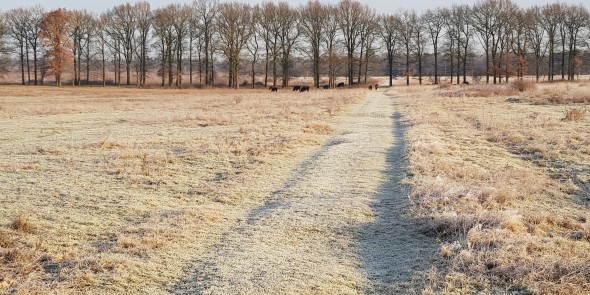 Veluwe_zwerfpad_etappe_01.jpg