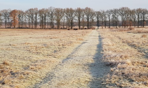 Veluwe_zwerfpad_etappe_01.jpg