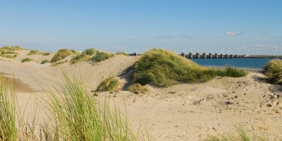 Duinen bij de Oosterscheldekering - Foto Ad Snelderwaard.jpg