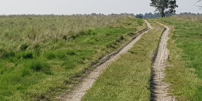 Veluwe_zwerfpad_etappe_15.jpg