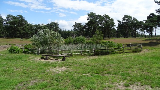 Onverhard Trekvogelpad 2