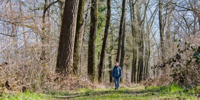 hart van het groene woud.jpg