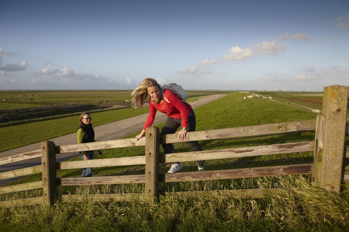 Wandelaars op de zeedijk in Ferwert Friesland