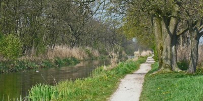 Ankeveense plassen.jpg
