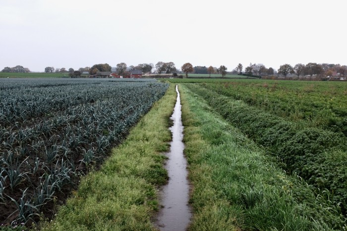 GR12___Ossendrecht___smokkelpad