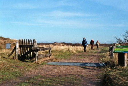 Onverhard Duinreservaat 3