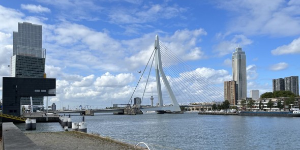 De Erasmusbrug © Ernst Koningsveld.jpg