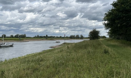 Uiterwaarden van Cortenoever 2 © Ernst Koningsveld.jpg