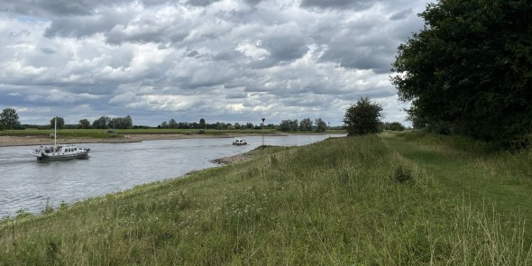 Uiterwaarden van Cortenoever 2 © Ernst Koningsveld.jpg