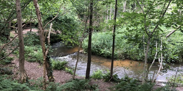 rivier de leu.jpg
