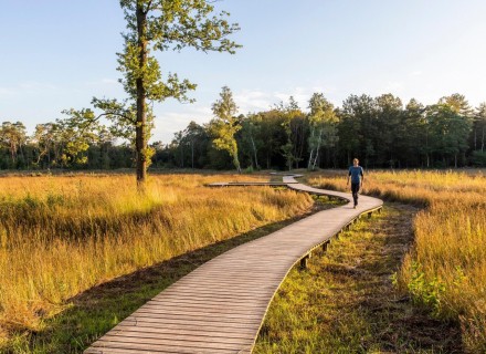 Vlonderpad op Landgoed Tongeren © Wandelnet