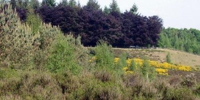 Elsterberg