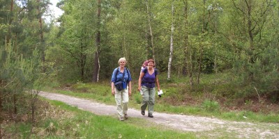 Veluwe Zwerfpad foto Jolanda Denekamp.jpeg