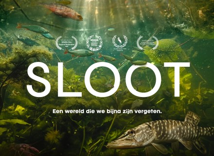 Sloot de film