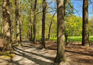 #rondjelopen_landgoed_Dijnselburg_Sietske_de_Vet.jpg