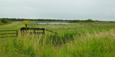 Naardermeer