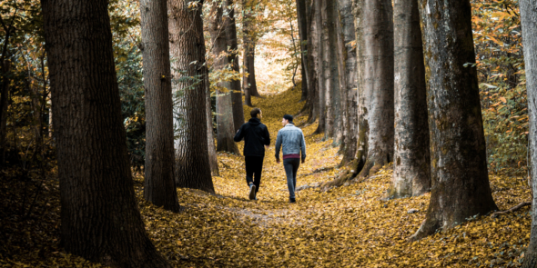 Wandelaars in het bos in de herfst