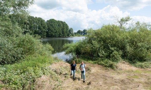 DSC_9117  Banjeren langs de Nederrijn 2 © Ad Snelderwaard.jpg
