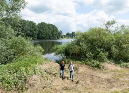 Banjeren langs de Nederrijn © Ad Snelderwaard