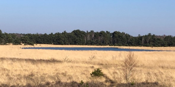 scheidingsven strabrechtse heide.jpg
