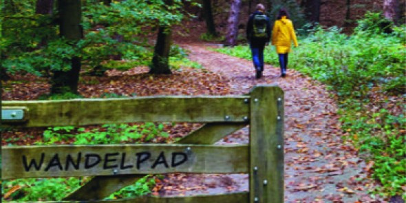 cover wandelgids Stellingenpad.jpg