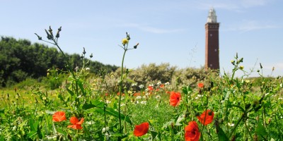 1E KEUZE - Ouddorp, vuurtoren en klaprozen klein.jpg
