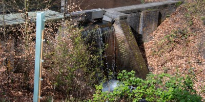 DSC_0719.jpg