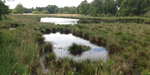 NS_wandeling_Venlo.png