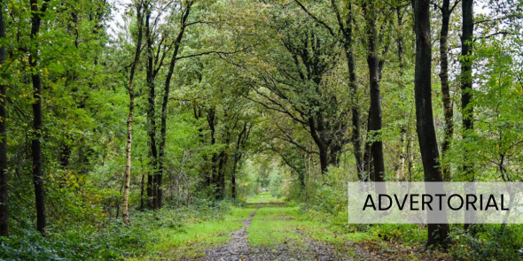 Wandelen_in_de_lente (8).png