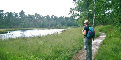 kampina.jpg