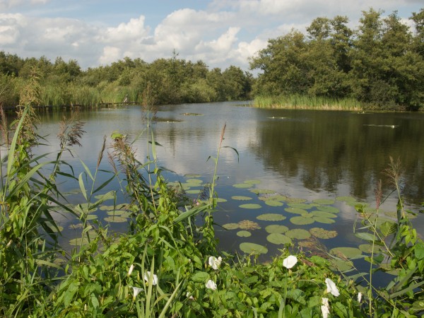 Floris_V_Pad_etappe_02