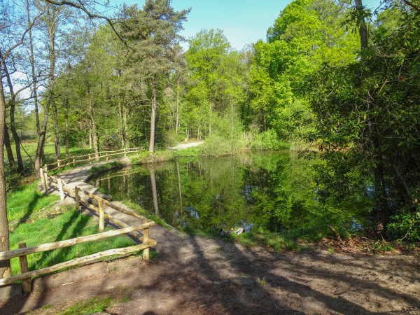 Uizicht op kleine bronvijver Springendal