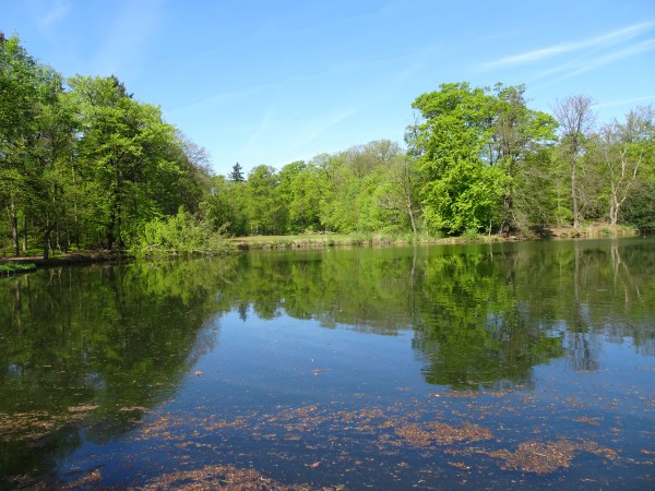 Grote bronvijver Springendal