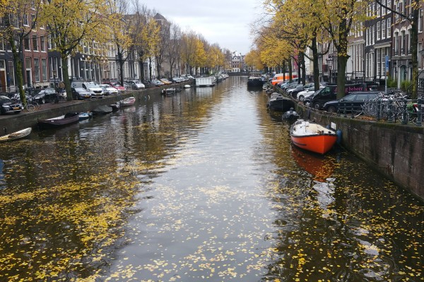 Floris_V_pad_Amsterdam_Weesp_Grachten_Amsterdam.jpg