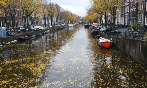 Floris_V_pad_Amsterdam_Weesp_Grachten_Amsterdam.jpg