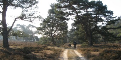 Veluwe_zwerfpad_etappe_14.jpg