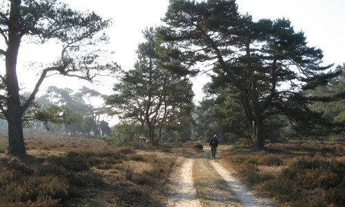 Veluwe_zwerfpad_etappe_14.jpg