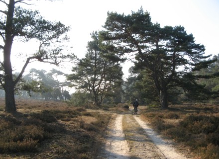 Hank en Ankie © Ernst Koningsveld