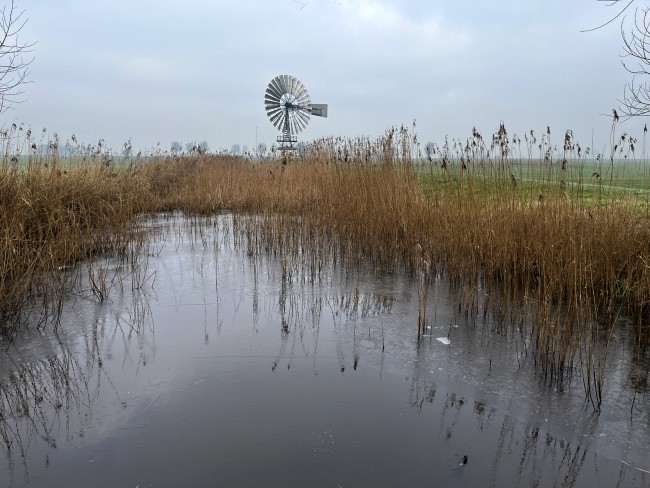 2025-02-03 Amerikaanse Windmotor bij Kleiterp © Ernst Koningsveld