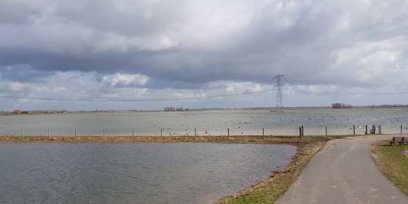 Noorderwaard_Polder.jpg