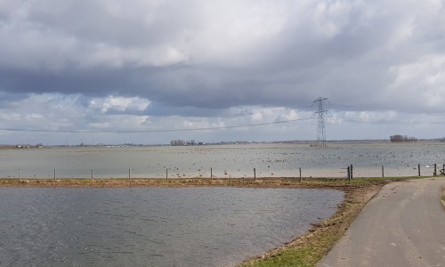 Noorderwaard_Polder.jpg