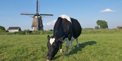 Geniedijk